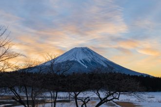 静岡で話題の御朱印帳ならぬ御花印帳とは？