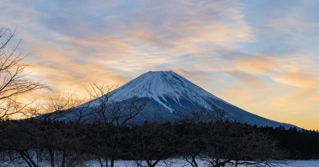 静岡で話題の御朱印帳ならぬ御花印帳とは？